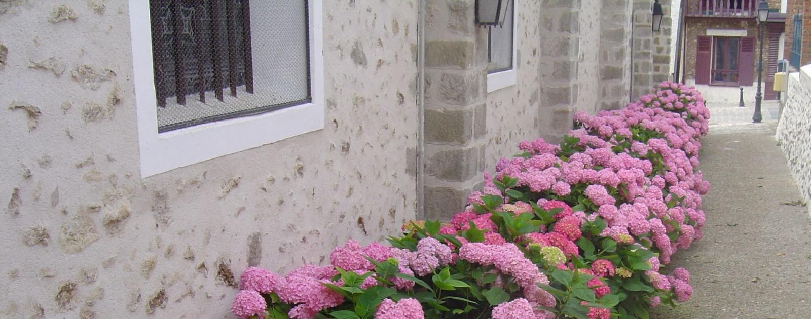 Commerces & activités BoissiselaBertrand