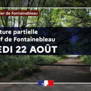 https://www.boissise-la-bertrand.fr/sites/boissise-la-bertrand.fr/files/styles/300x300/public/media/images/80-du-massif-forestier-de-fontainebleau-rouvrent-samedi-22-aout_large.jpg?itok=iJMVfgup
