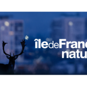https://www.boissise-la-bertrand.fr/sites/boissise-la-bertrand.fr/files/styles/300x300/public/media/images/logo-idf-nature-carre.png?itok=NL6XZovM