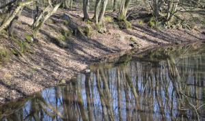 Les insolites naturels de Boissise-la-Bertrand