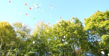 Ballon et arbres
