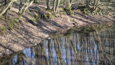 Les insolites naturels de Boissise-la-Bertrand