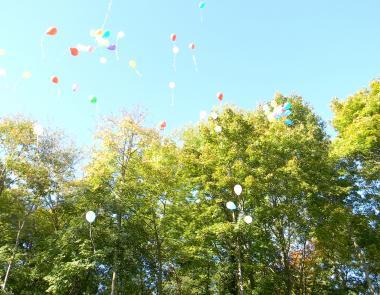 Ballon et arbres