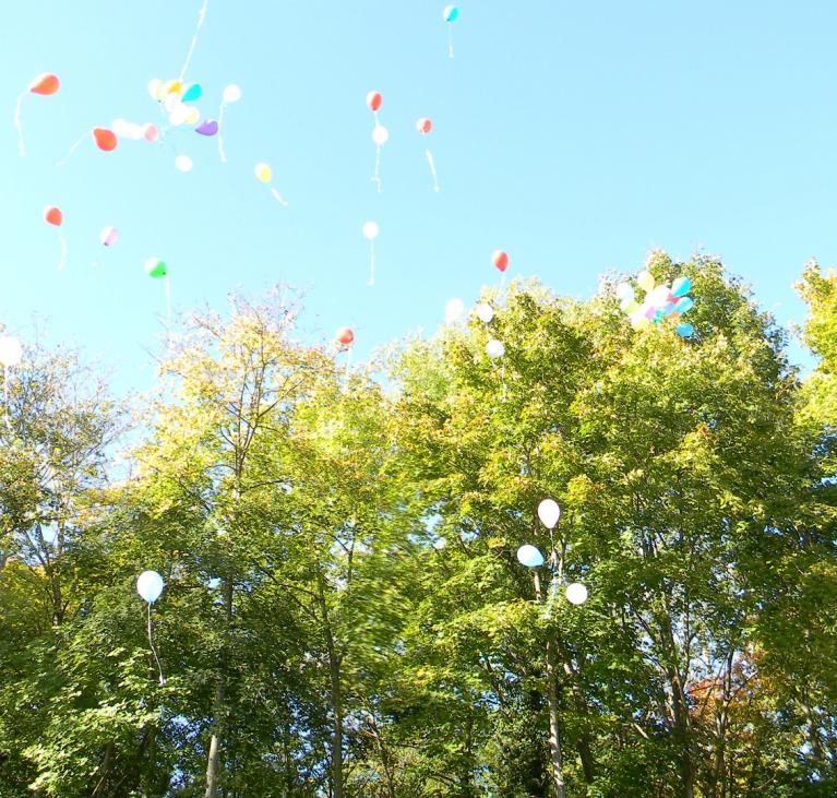 Ballon et arbres